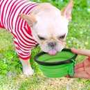 kit 2 Bebedouro E Comedouro De Silicone Retrátil Para Cães e Gatos 350 ML porta ração