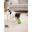 Brinquedo Cachorro Ovo Maluco Bolinha Interativa Diversos Tamanhos