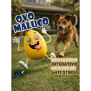 Brinquedo Cachorro Ovo Maluco Bolinha Interativa Diversos Tamanhos
