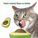 Abacate De Brinquedo Para Gatos Com Catnip Erva Gato Natural Envio imediato