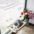 Cama Suspensa de Janela para Gato Pet Caminha Rede para Gatos com Ventosa até 20kg Grande