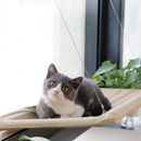 Cama Suspensa de Janela para Gato Pet Caminha Rede para Gatos com Ventosa até 20kg Grande